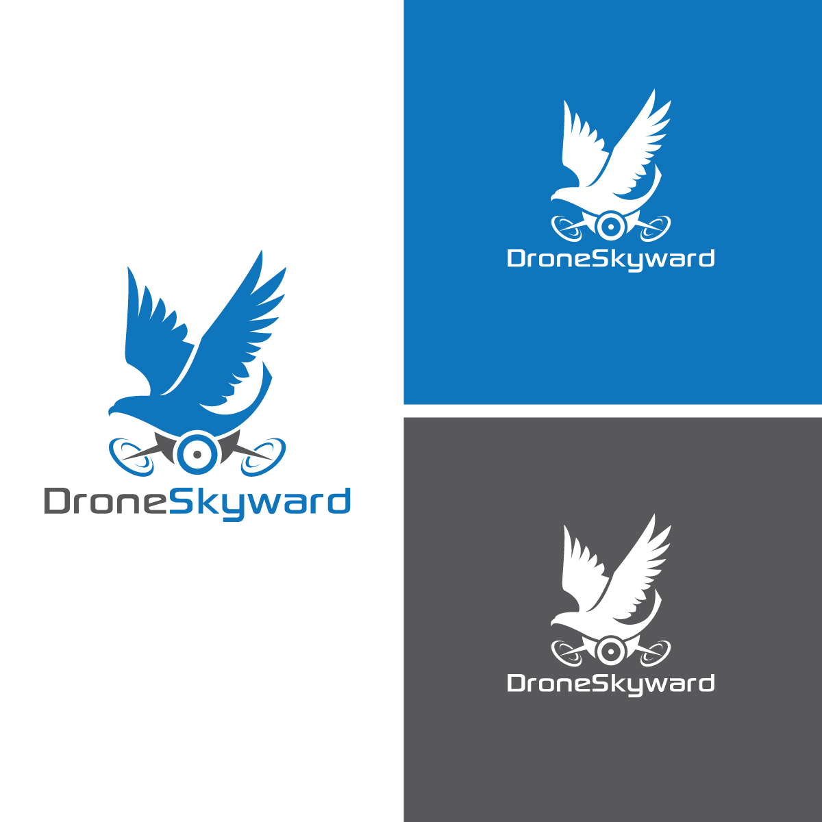 Logo Design by Graphic Bricks for DroneSkyward | Design #22237350