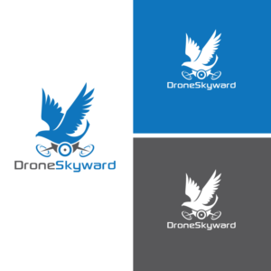 I would like the name "DroneSkyward" with perhaps and Osprey Bird image built into it? | Logo Design by Graphic Bricks