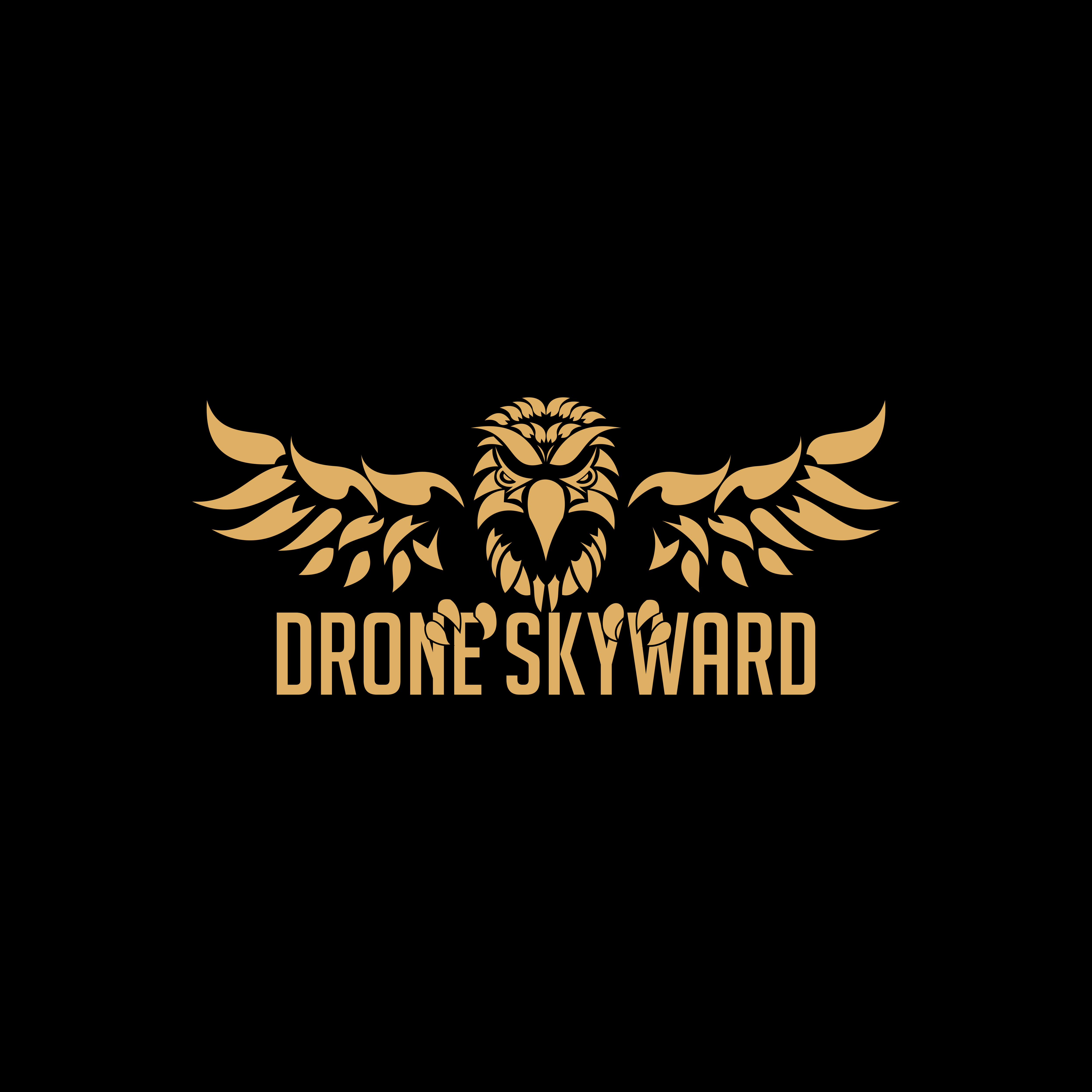 Logo Design by Hanif23 for DroneSkyward | Design #22241140