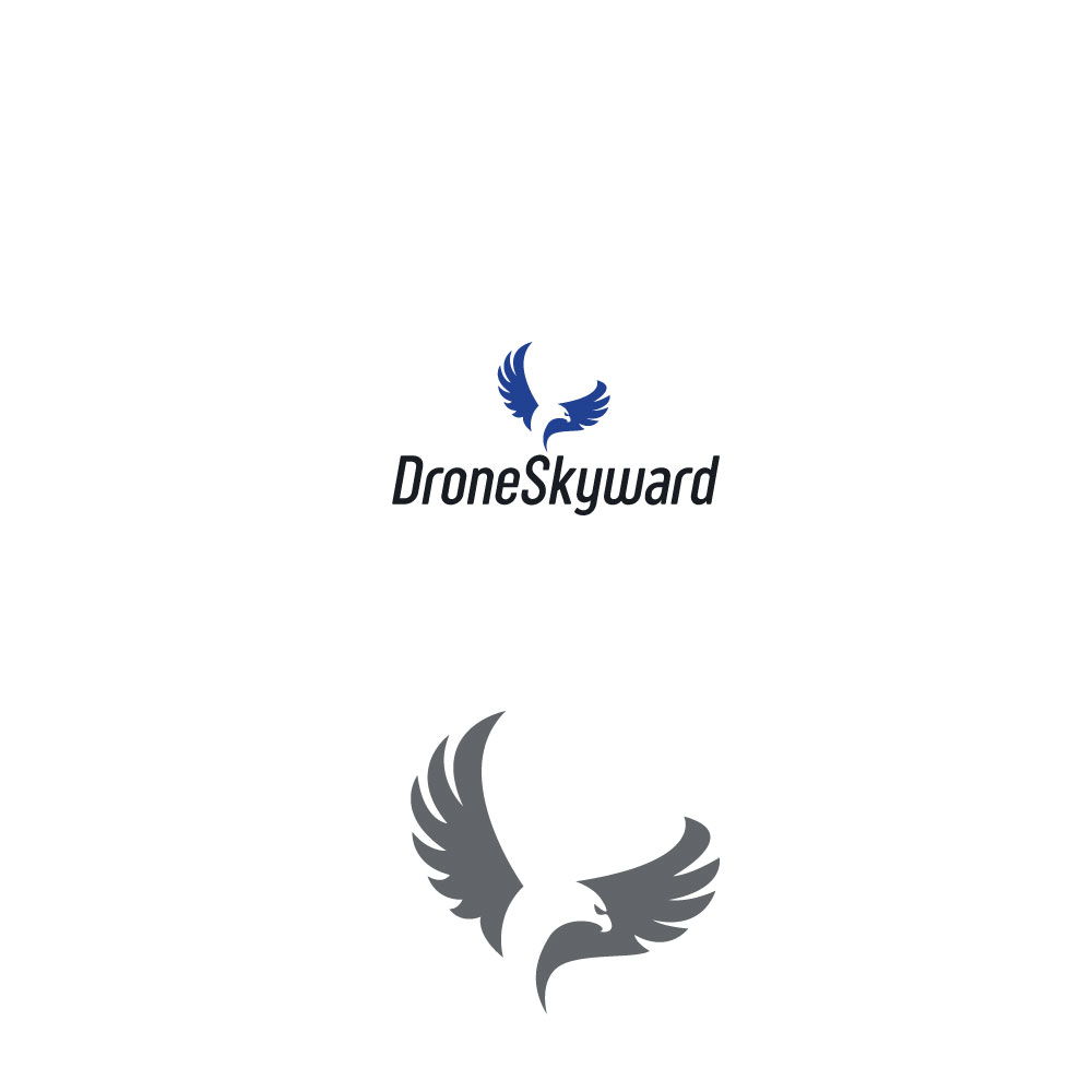 Logo Design by Maystro for DroneSkyward | Design #22254389