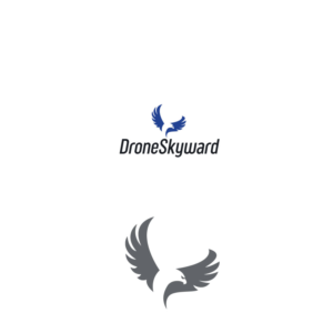 Diseño de Logo por Maystro para DroneSkyward | Diseño #22254389