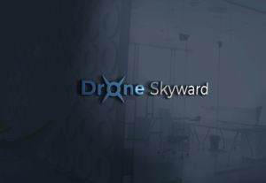 Logo Design by Cool_Graphics for DroneSkyward | Design: #22245244
