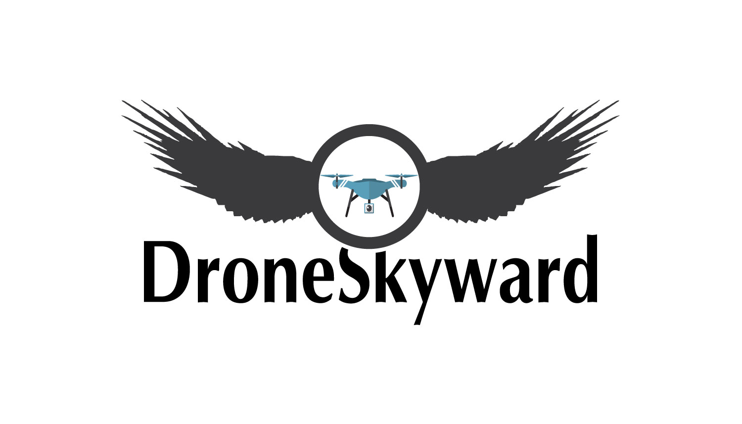 Logo Design by KRIDE INFOTECH for DroneSkyward | Design #22278423