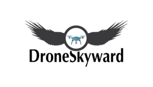 Logo Design by KRIDE INFOTECH for DroneSkyward | Design: #22278423