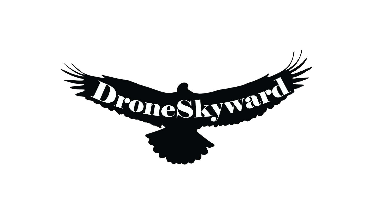 Logo Design by KRIDE INFOTECH for DroneSkyward | Design #22278438