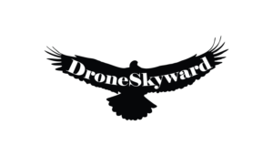 Logo Design by KRIDE INFOTECH for DroneSkyward | Design: #22278438