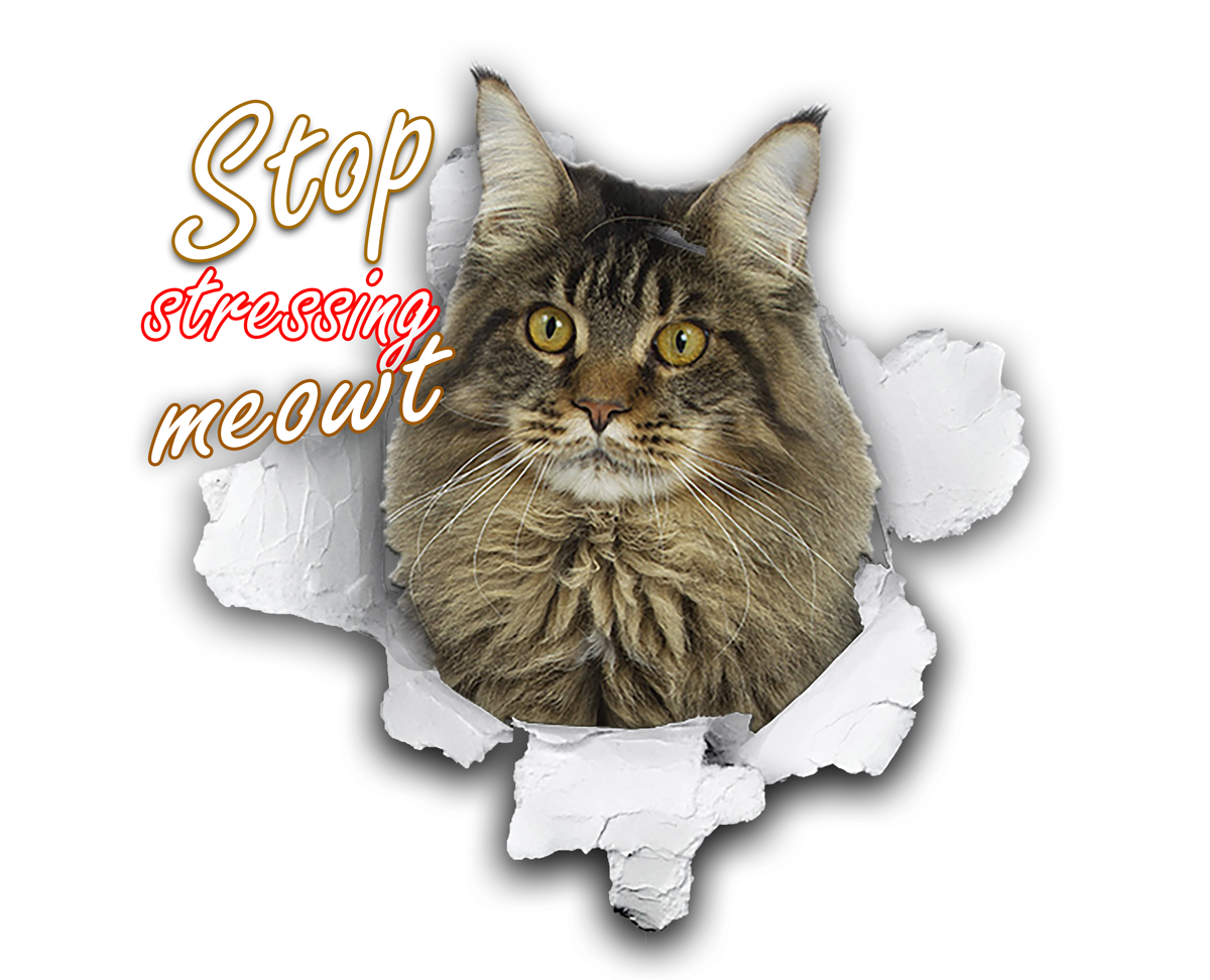 Design de T-shirt par mehmet_ilkerli pour ce projet | Design #22278758