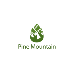 Logo Design by ESolz Technologies