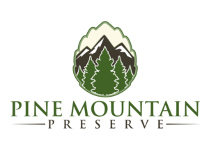 Logo Design by Janzey