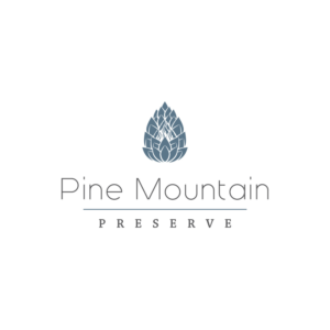 Logo Design by babystepsdesign