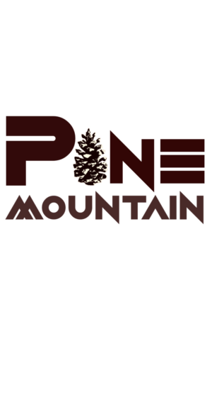 Logo Design by Ashpak 2