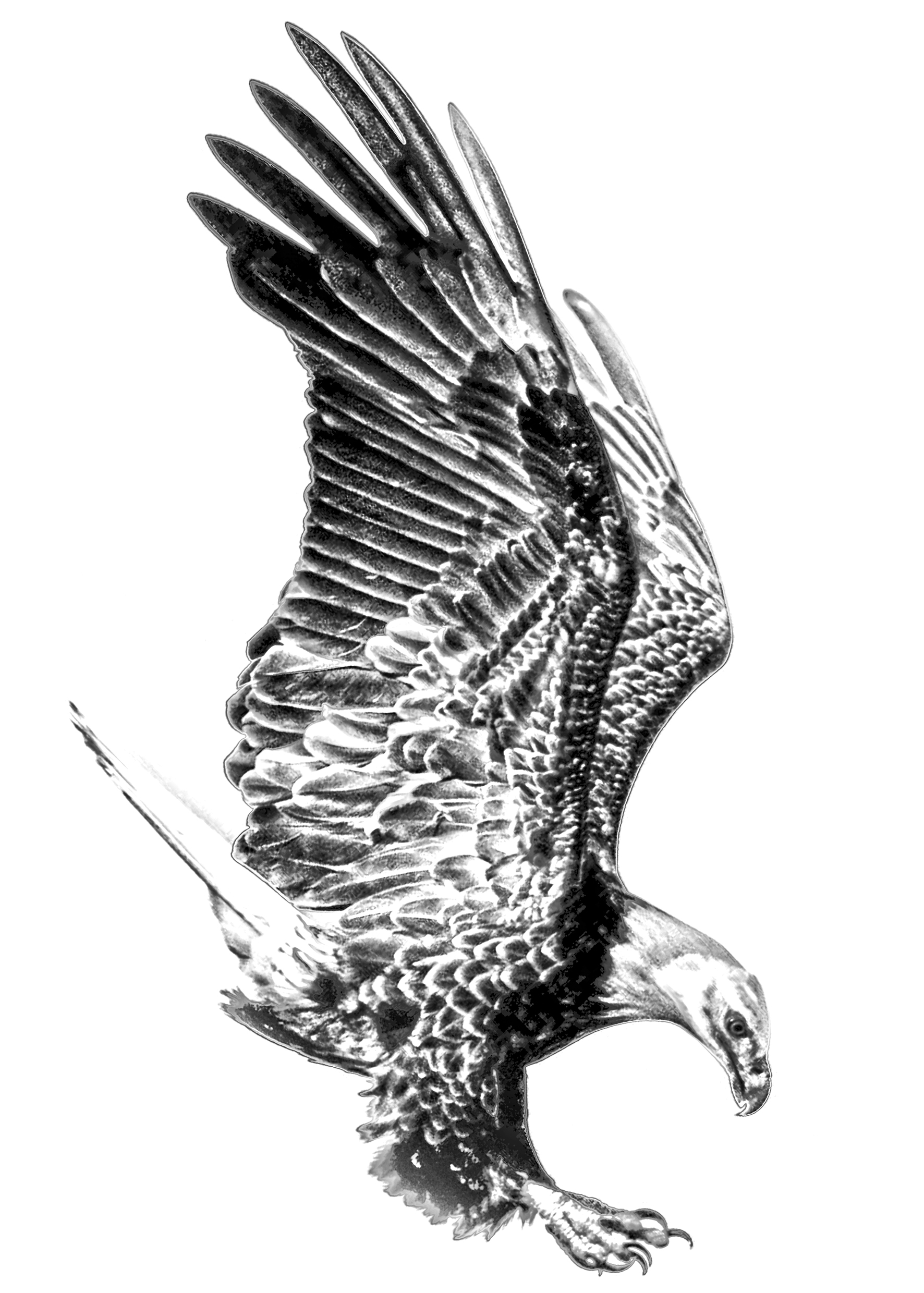 Tattoo Design by putto for this project | Design #22288936
