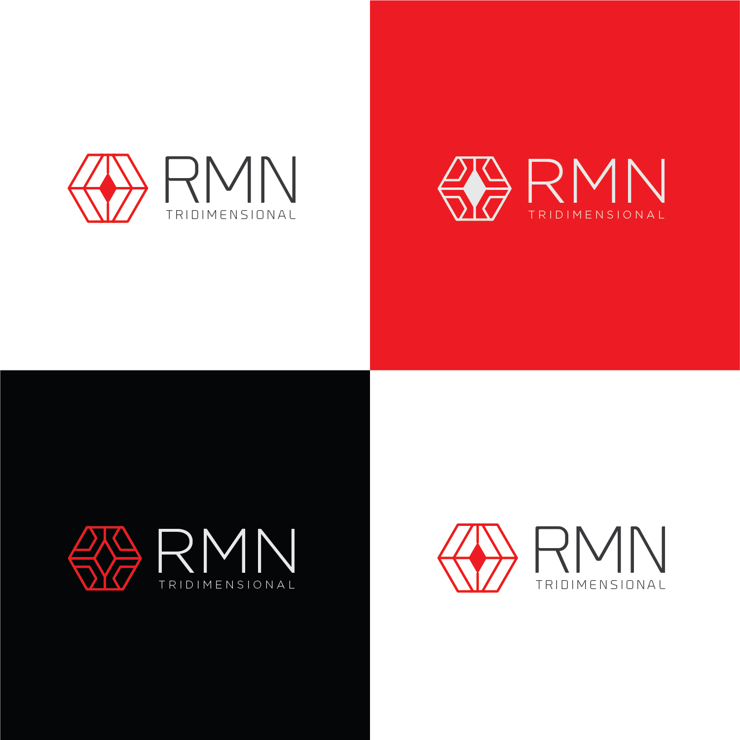Design de Logo par Muhammad Imran 3 pour RMN Tridimensional | Design #22262875