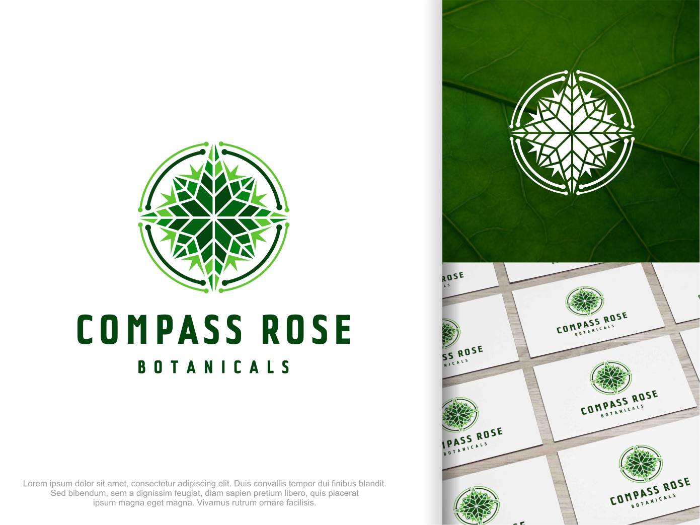 Logo Design by artswolf for Compass Rose Botanicals | Design #22275205