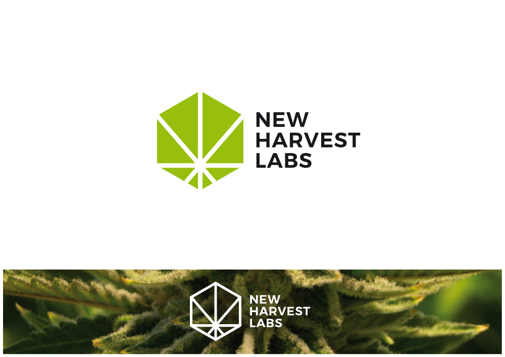 Diseño de Logo por Nigel B para este proyecto | Diseño #22277161