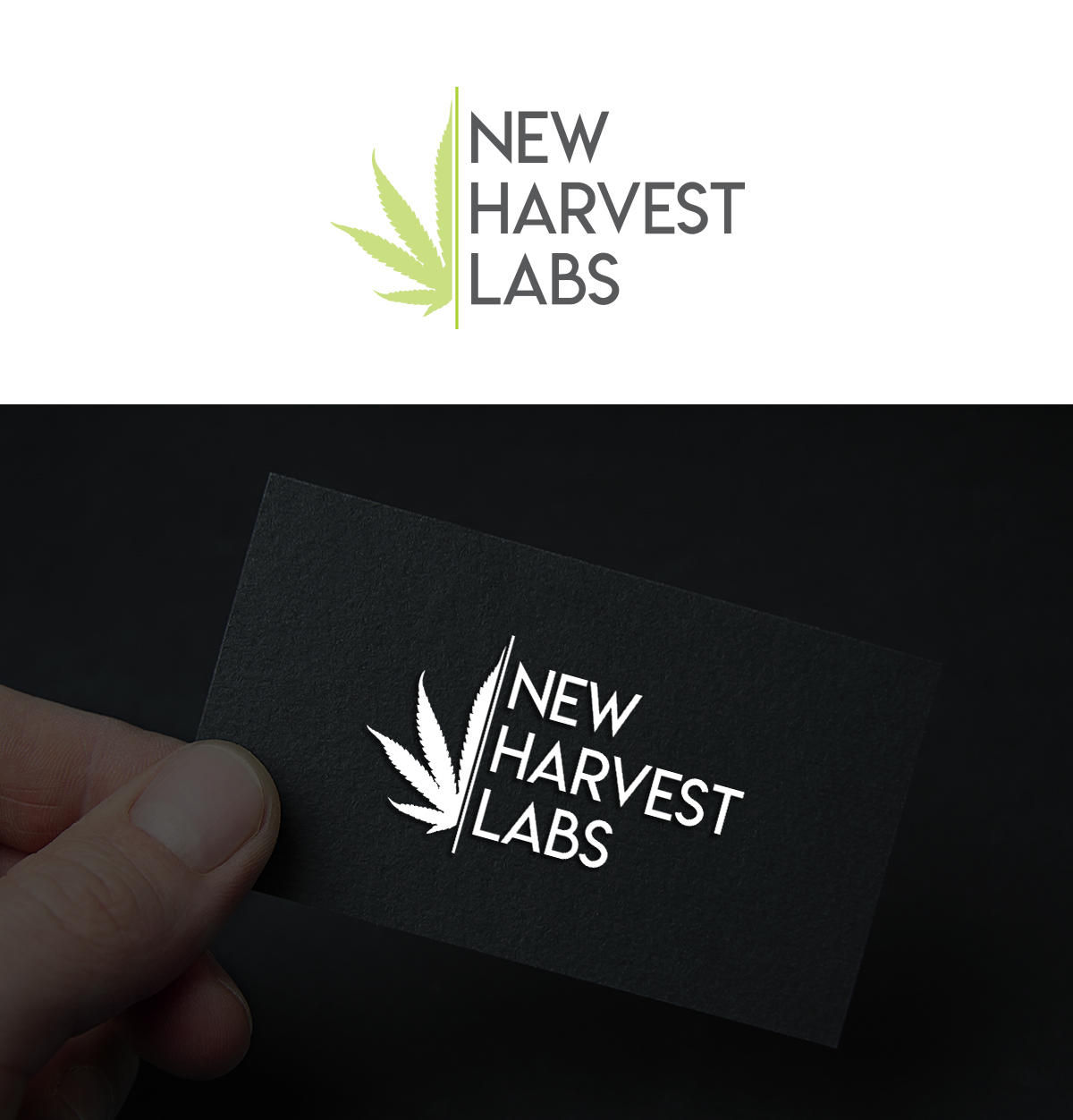 Logo Design by CreativeBaba for this project | Design #22301186