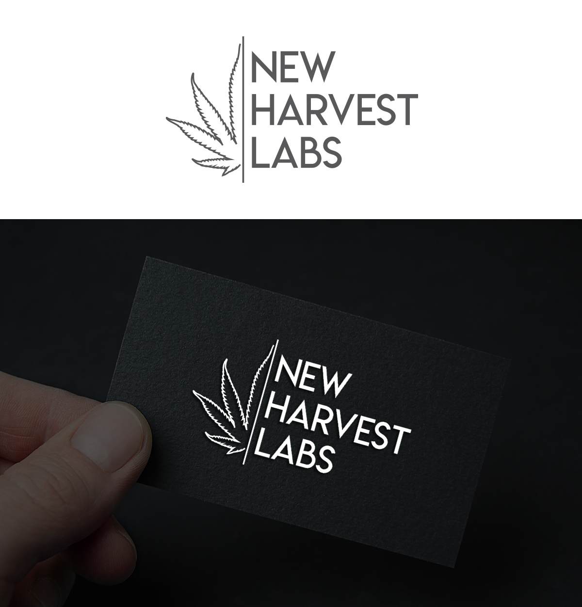 Logo Design by CreativeBaba for this project | Design #22302152