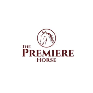 Logo Design by ESolz Technologies