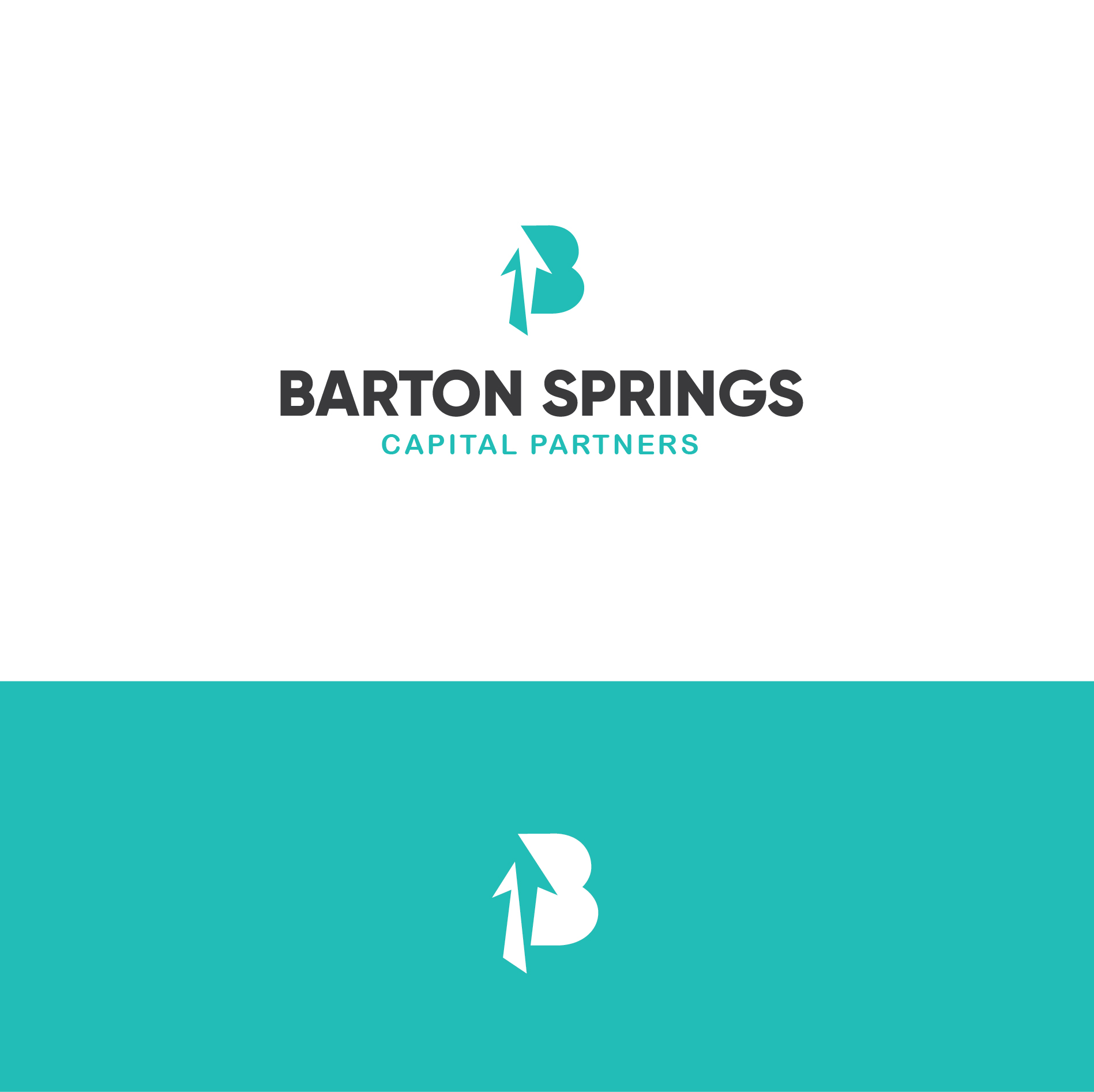 Logo-Design von Sandzej für dieses Projekt | Design #22282355