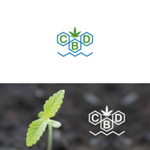 Logo Design by designerD1997 for this project | Design #22277850