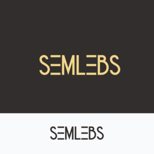 Diseño de Logo por Paras Bali para emza visual sense | Diseño #22284683