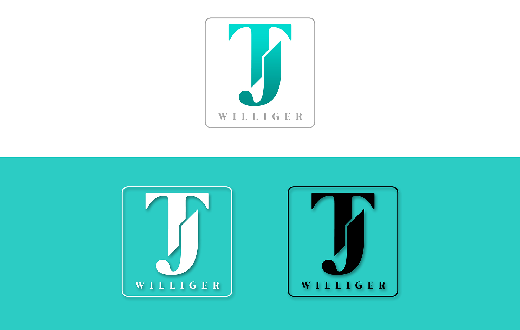 Logo-Design von Nico B für dieses Projekt | Design #22291621