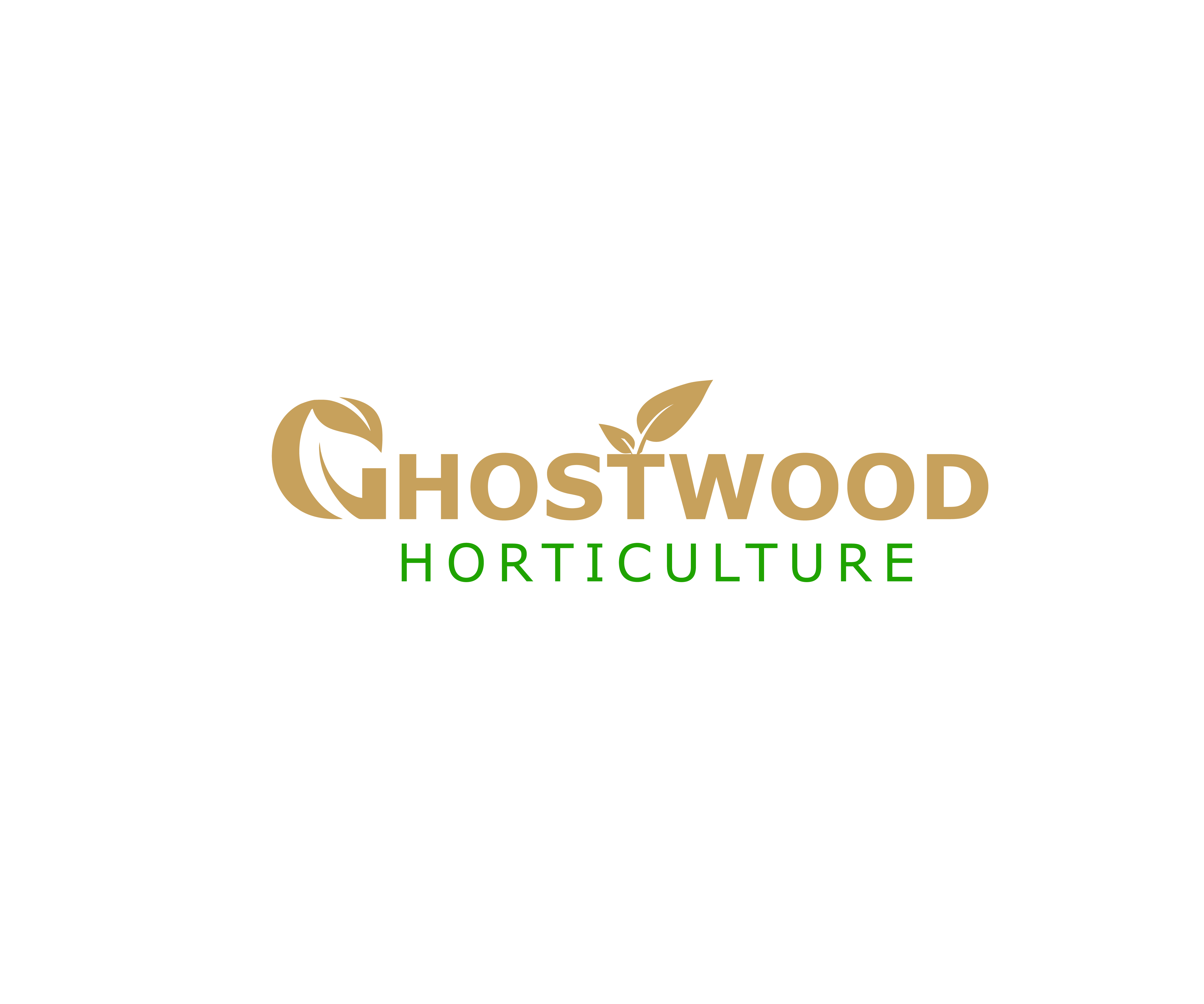 Diseño de Logo por Creative Afnur para este proyecto | Diseño #22296910
