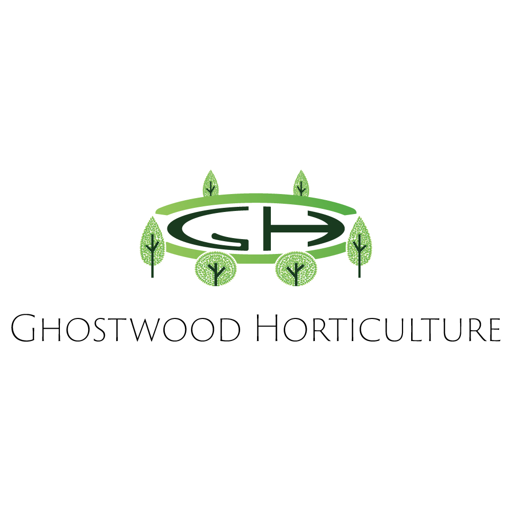 Logo Design by mohamed adam for this project | Design #22332999