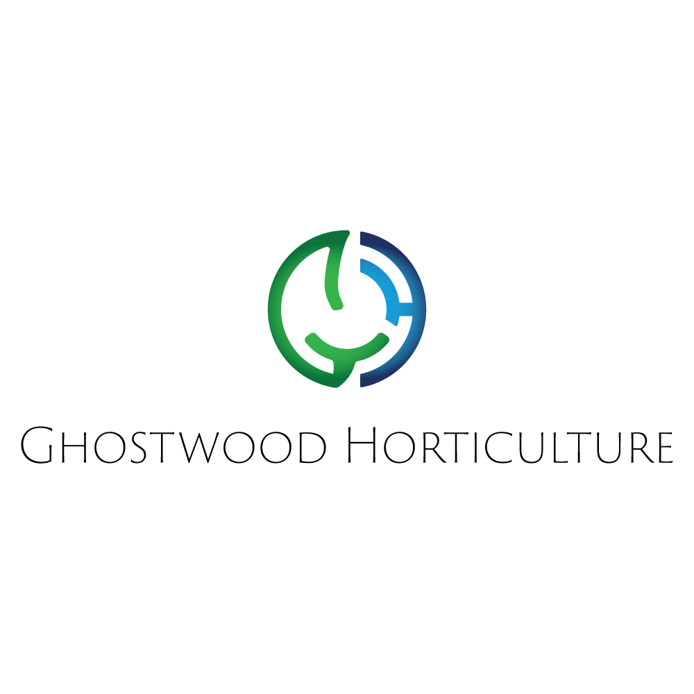 Logo-Design von mohamed adam für dieses Projekt | Design #22333014