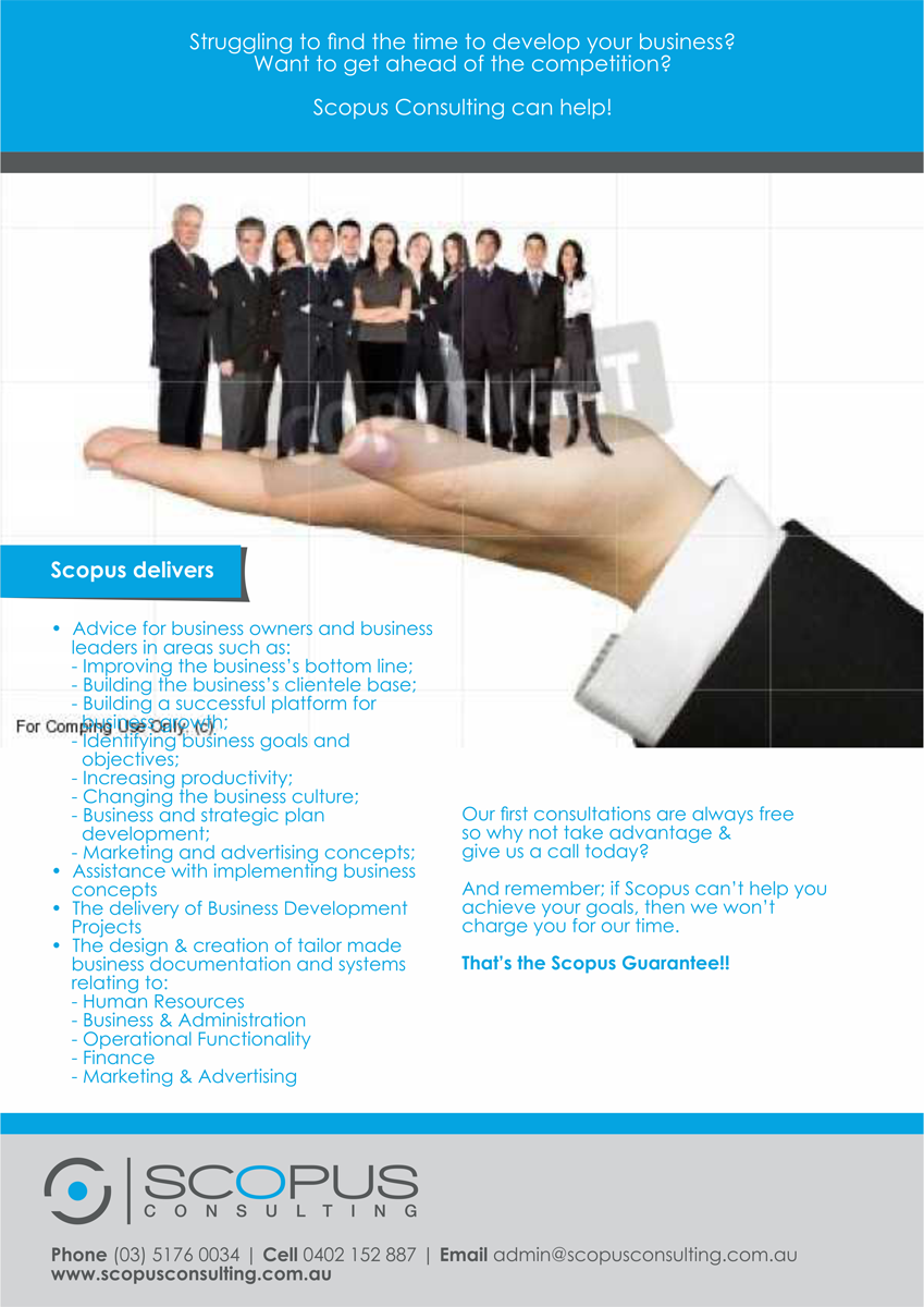 Flyer Design by barinix for Scopus Consulting | Design #2965210