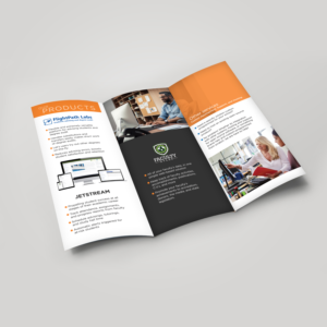 Design de Brochure par andreaG_design pour Peacock Software, LLC | Design : #22304048