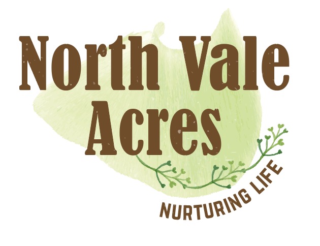 Logo Design by Kiwi Designs SA for this project | Design #22308966