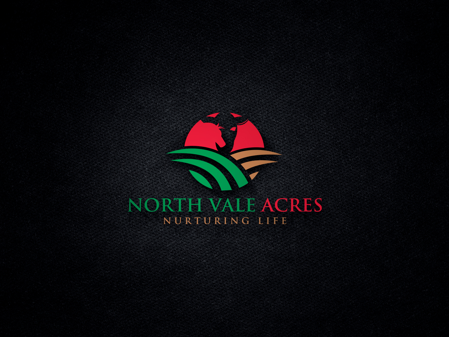 Logo Design by Deziners Zone for this project | Design #22308883