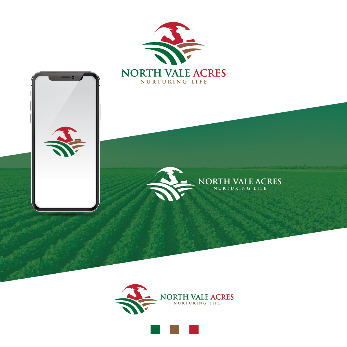 Logo Design by Deziners Zone for this project | Design #22331709