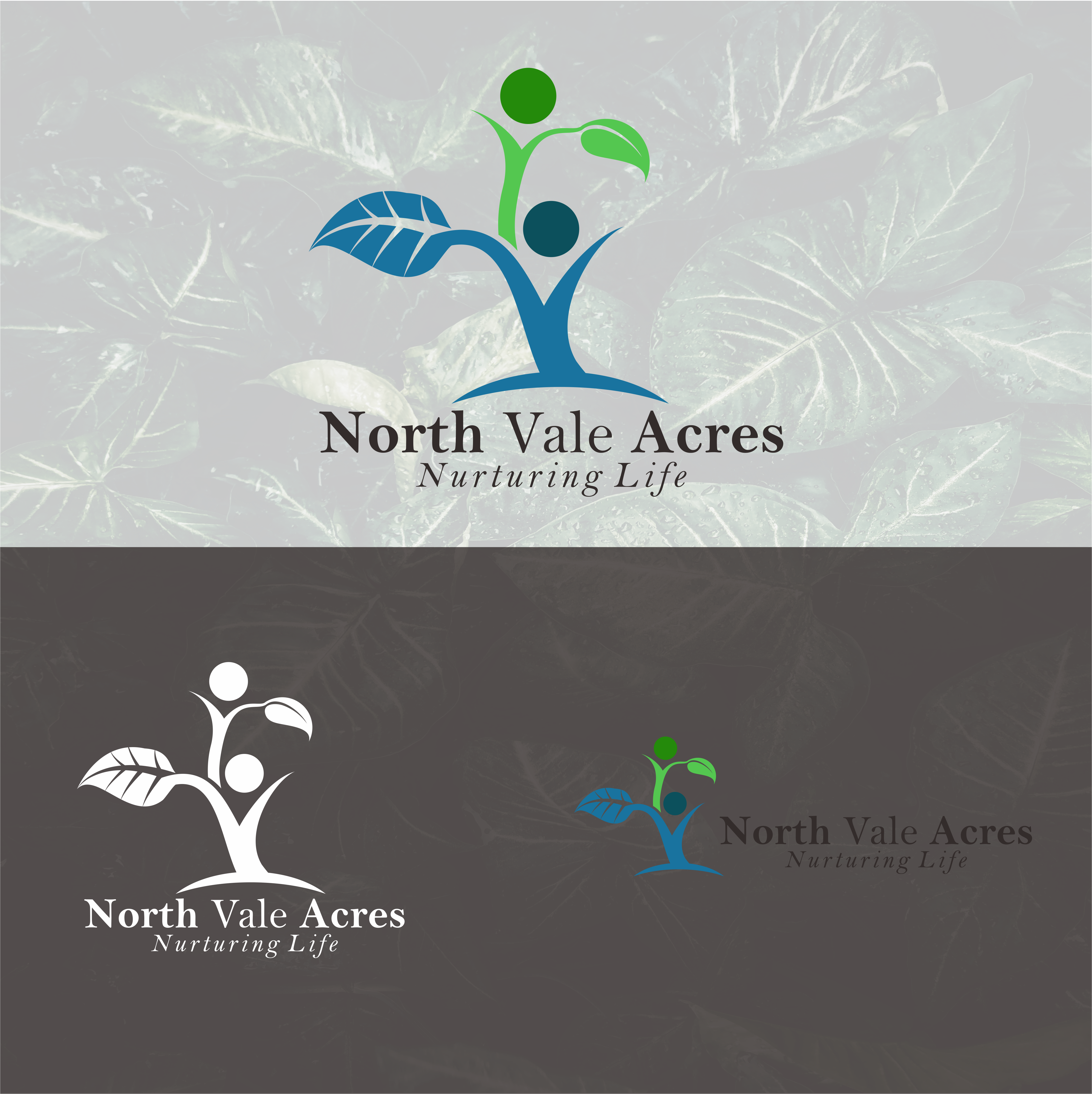Logo Design by kurniawan 9 for this project | Design #22345754