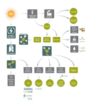 Graphic Design by Rickyy for this project | Design: #22303694