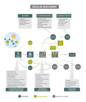 Graphic design flow chart | Graphic Design by Rickyy