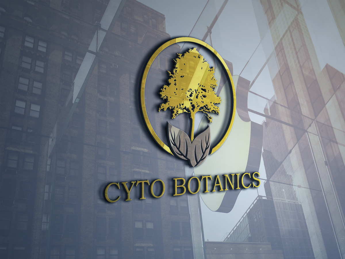 Logo Design by Wonderful design for this project | Design #22313346