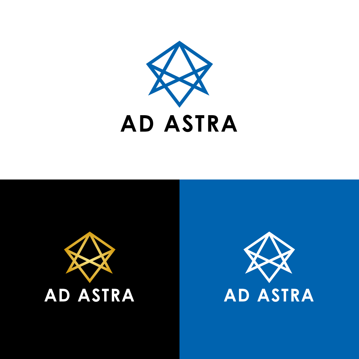 Logo Design by designerD1997 for Ad Astra | Design #22312757