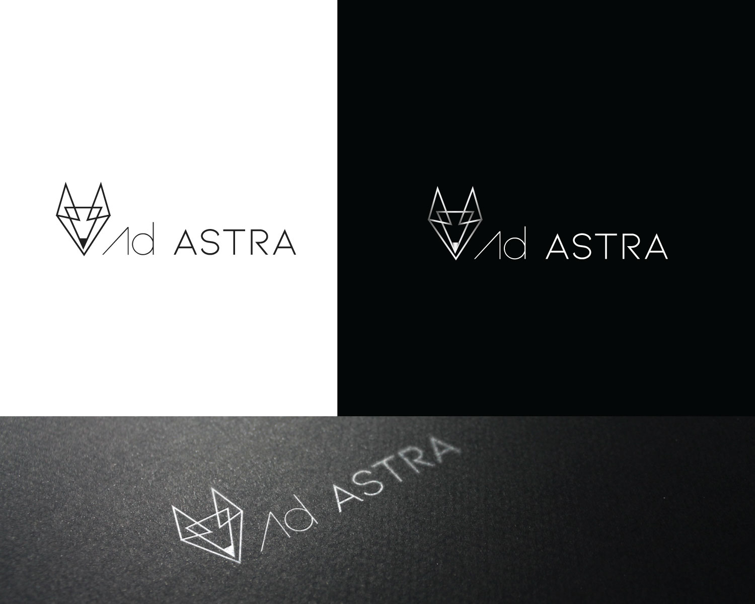 Logo Design by titanium wings for Ad Astra | Design #22335008