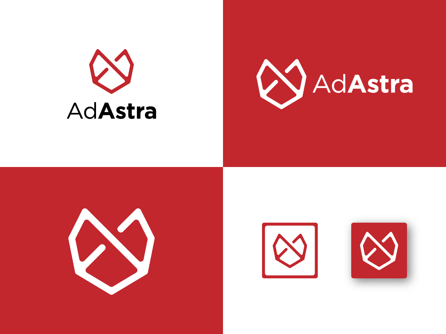 Diseño de Logo por isurendrarathod para Ad Astra | Diseño #22315065