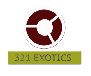 Logo Design by JACK 39