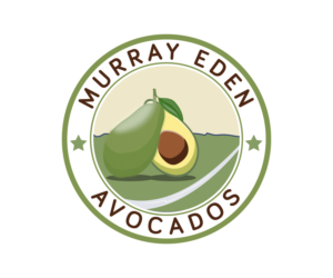 Logo Design by effro