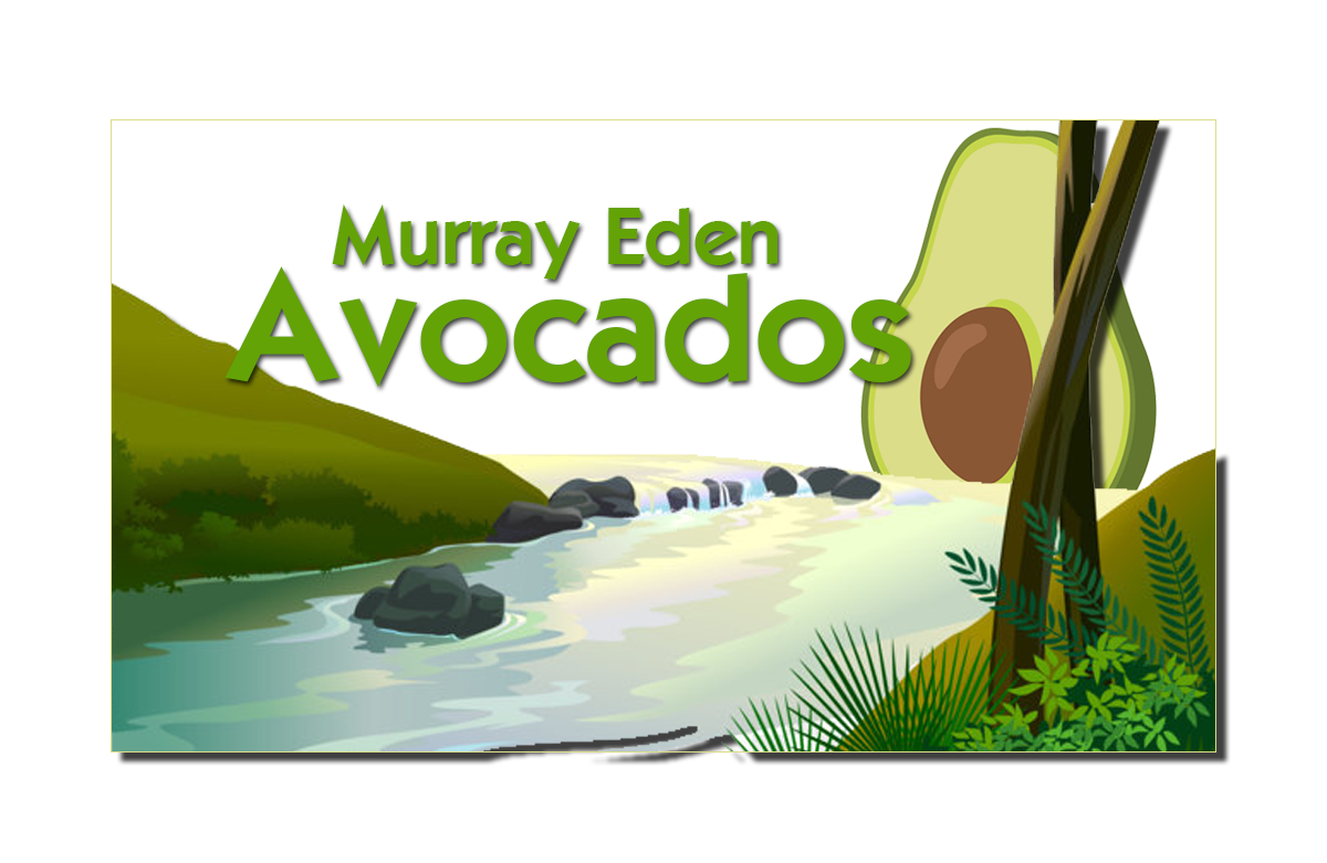 Logo-Design von handsomeoption4u für dieses Projekt | Design #22339733