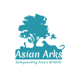 Design de Logo par DANPAINEDESIGN pour Asian Arks | Design : #22381717