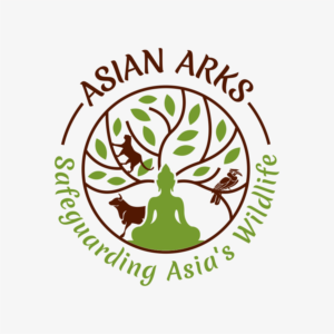 Logo Design by Pranav Creative Graphic for Asian Arks | Design: #22324352