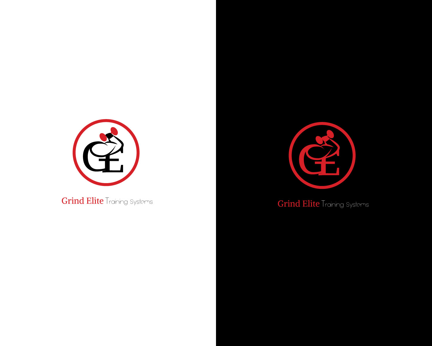 Logo Design by titanium wings for this project | Design #22321458