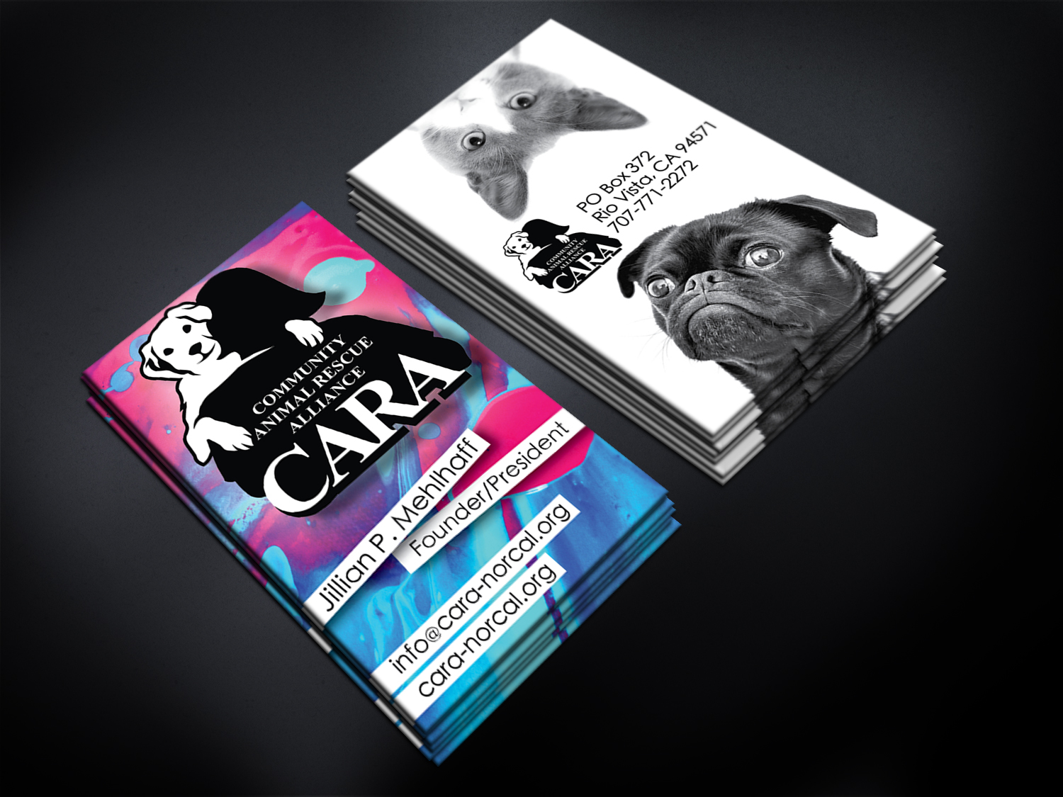 Business Card Design by 3lbcreative.com for Community Animal Rescue Alliance | Design: #22349907