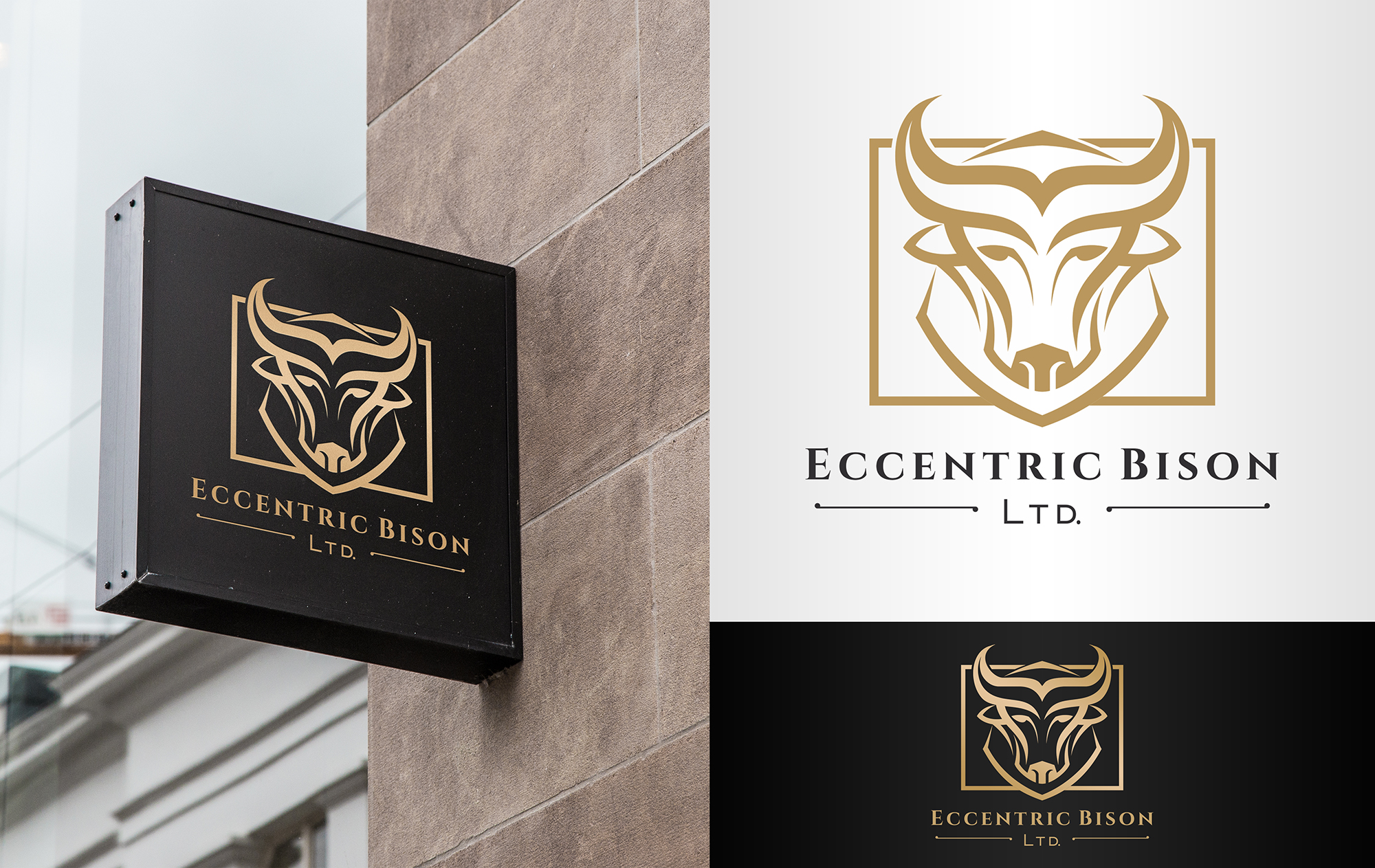 Logo Design by Ana White for this project | Design #22349853