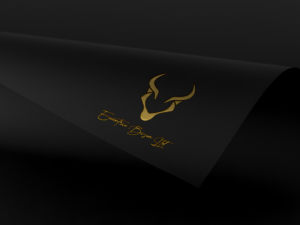 Diseño de Logo por clifiechier para este proyecto | Diseño: #22365557